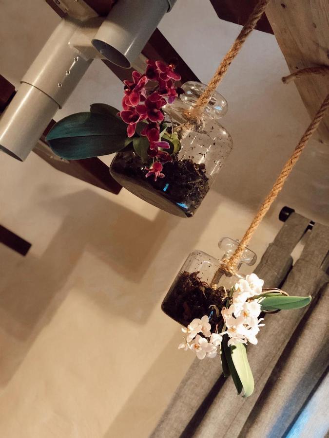 סאולקראסטי Clockhouse Cottage מראה חיצוני תמונה
